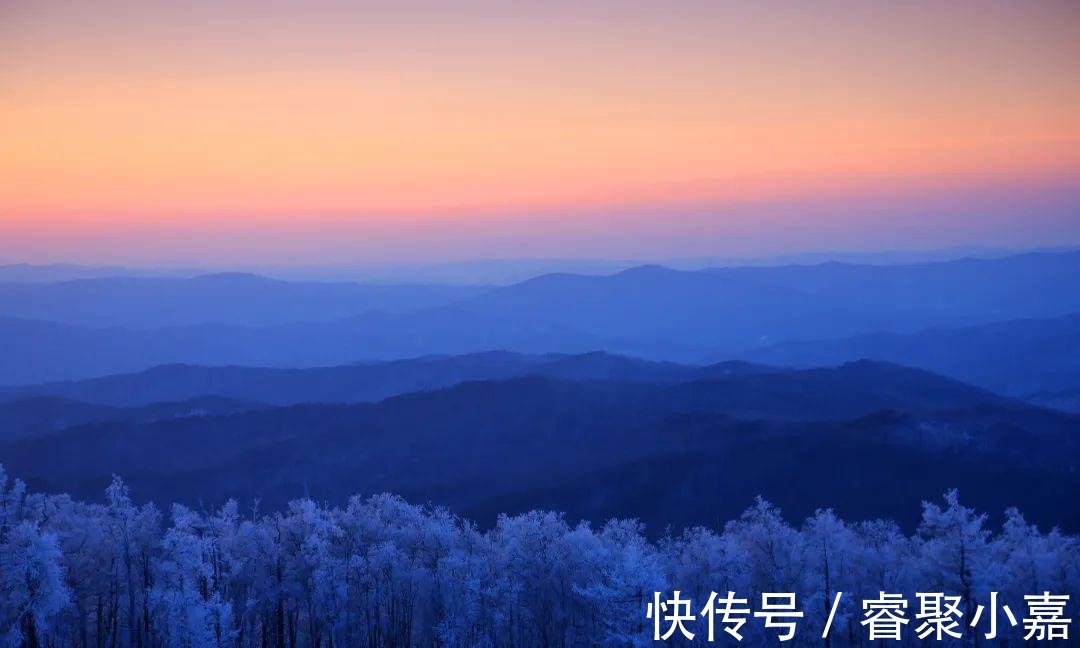 夜话|夜话丨老舍：越看越可爱的大兴安岭！