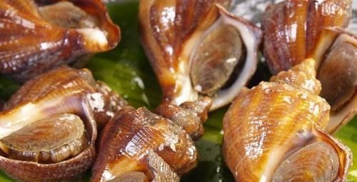 胃不好的人，還能喝牛奶吃海鮮嗎？營養師告訴你真正養胃的方式