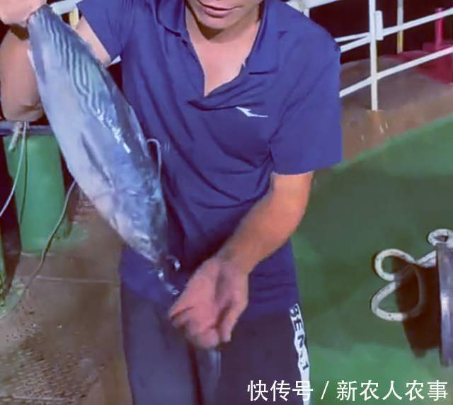 山东钓鱼人组团深海钓大鱼,米级百斤巨物接连上钩,网友:发财了