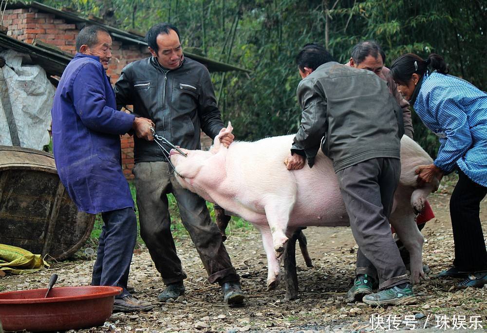 你爱吃的“猪血”，到底是否干净为了家人健康，不妨看一看