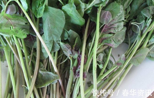 新手养卷丹百合,厨房弄点“它”,一分钱不用,盆盆“花儿爆”