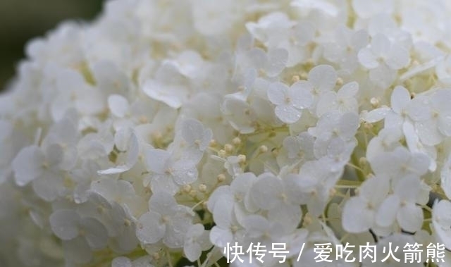 摩羯座|好运来了,下个星期起,处处逢喜事,财运得改善,金库满溢