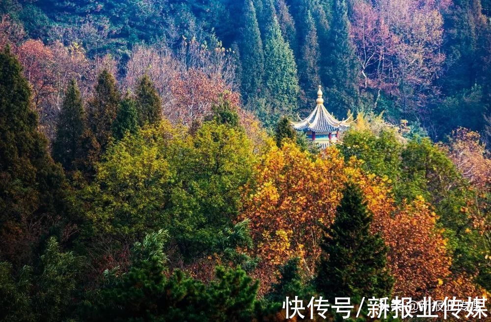 鸡公山景区免票活动，速来|最后两周！“豫见金秋·惠游河南”| 免票活动