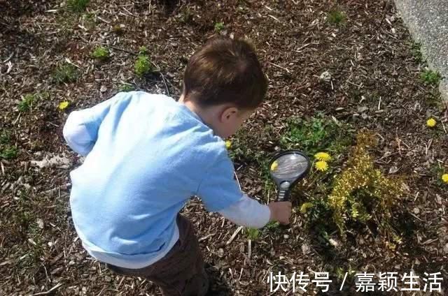 学习成绩|长大后能赚大钱的孩子,小时候有这“3个特征”,与学习成绩无关