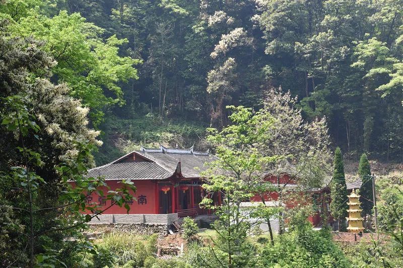 历史|延平：这座立于海拔600米的千年古寺，记录下峡阳千年前的动人时光