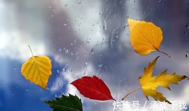 锦霞&千山暮雪无言叙,独客西风入梦游。浅秋寄语