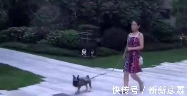 小狗|宝宝被妈妈用绳子牵着,遇到邻居牵着小狗,随后宝宝的举动太萌了