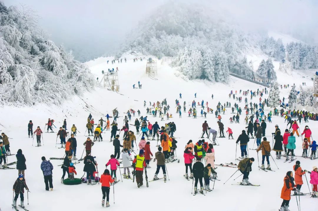 滑雪场|携程春节数据，六盘水上榜！虎年春节最火爆滑雪目的地！