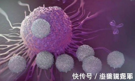 健脾|1种果子“婴儿食之不老,老人食之延年”,肿瘤专家如此吃更好