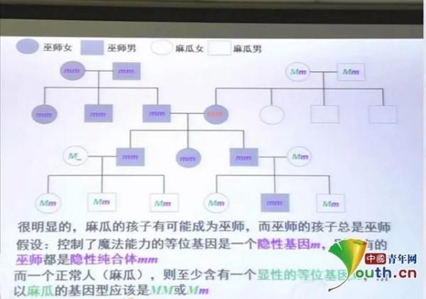 “魔法教学”！看老师如何玩转《哈利·波特》