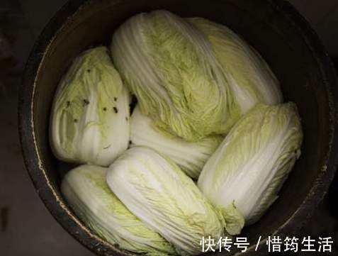 阳台上|腌酸菜别只会加盐，教你正确的腌制方法，酸菜爽脆下饭不腐烂
