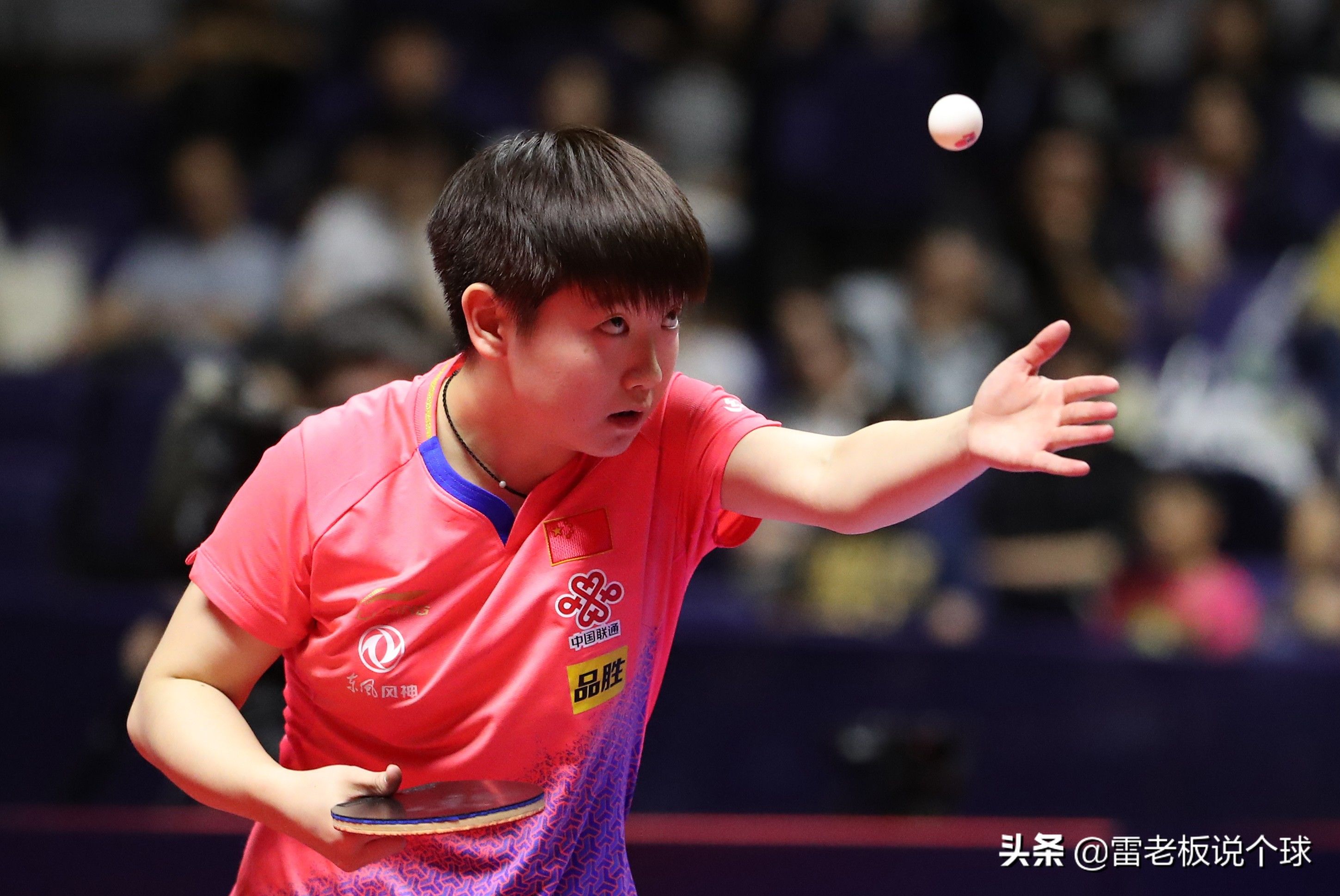 杜凯琹|WTT世界杯1/4决赛赛程：樊振东、陈梦今晚出战！央视CCTV5直播