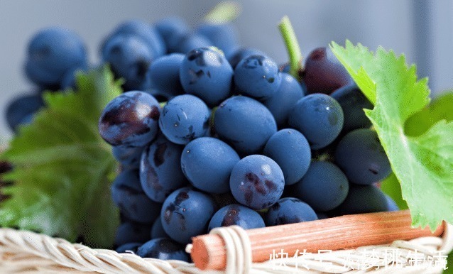 葡萄皮|洗葡萄,只会用盐水就错了!多加2样,虫子乖乖逃走,又快又干净