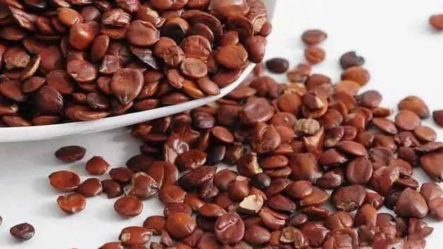 替代品|安眠药“替代品”找到了,不是酸枣仁,也不是香蕉,助你睡得香