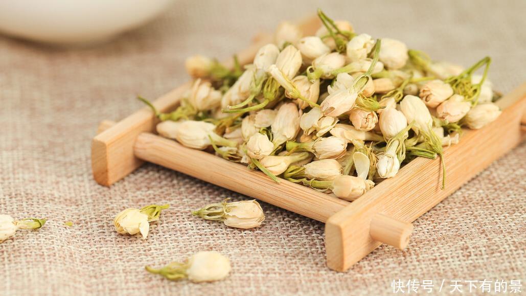 这6种植物是生活的好帮手，家里养一盆，好看好养还可备不时之需