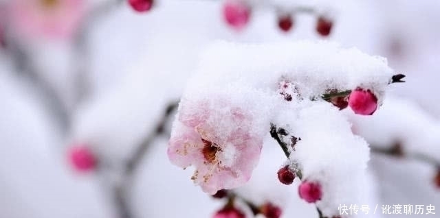 七律!陆游最著名的一首七律,句句经典,其中1句境界之高常人难以企及