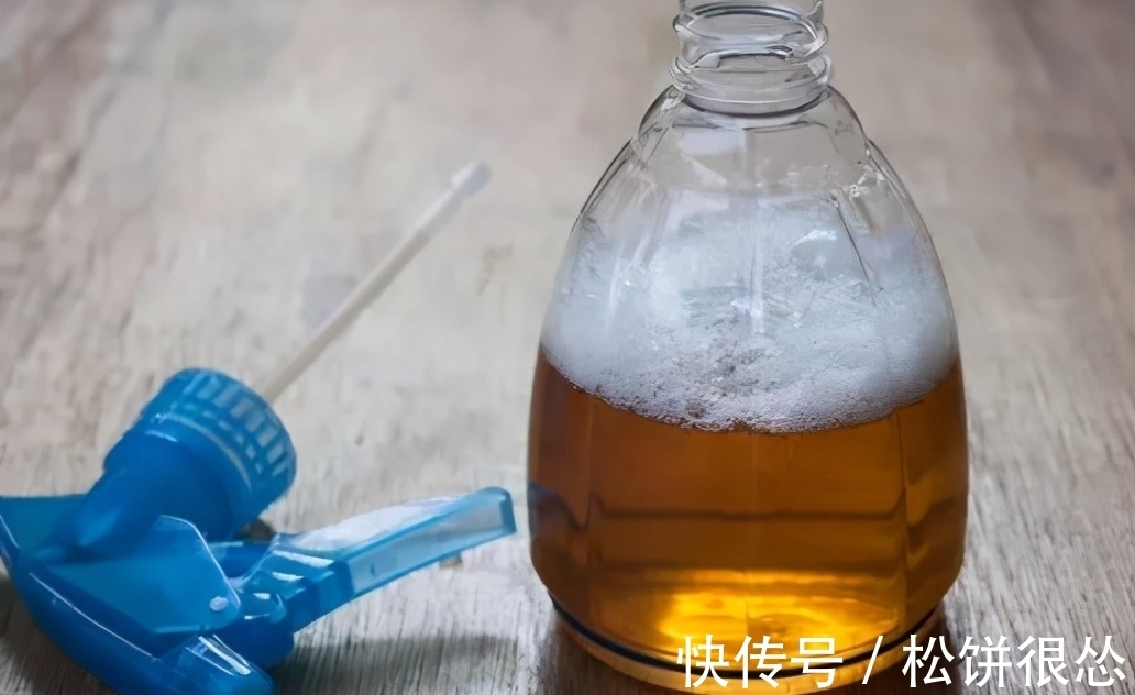 喷洒|养花该如何杀虫?学会这几招,一招就能够秒杀害虫