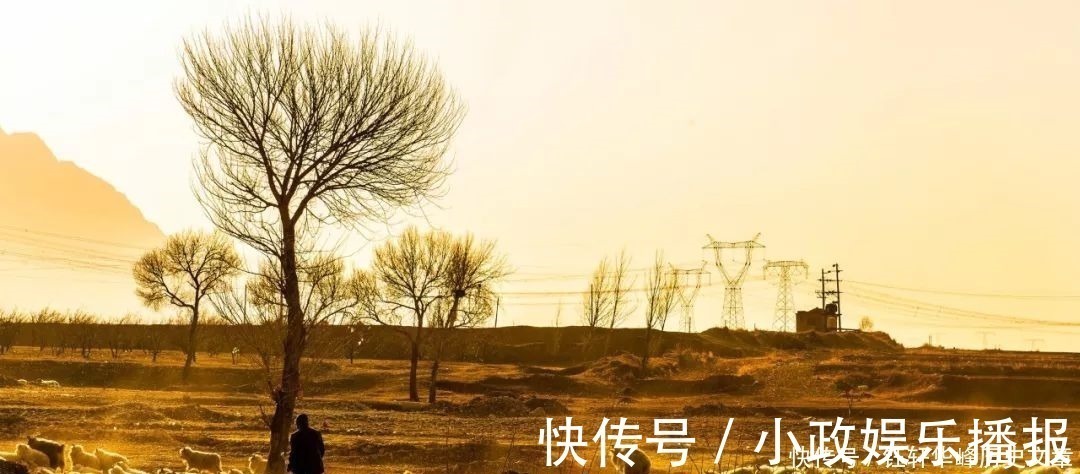 简简吟@宅在家,没事做就读一读这40句古诗词,每一句都是人间绝句