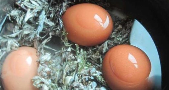 艾叶|经常用艾叶煮水洗头,不到一个月,好处主动找上门