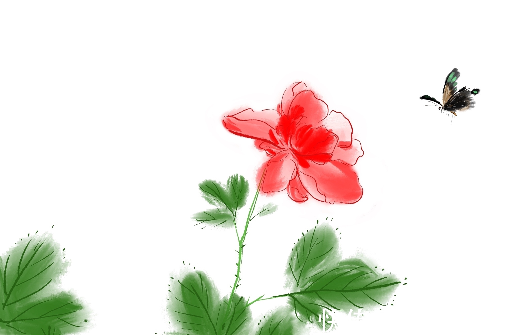 对韵&十大名花对韵:春来我不先舒蕊,雪里凭谁敢放花