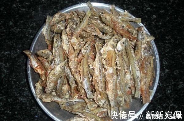 蛆虫|钓白条鱼真是累人,用我分享的方法,只要你下钩,它就在那等你