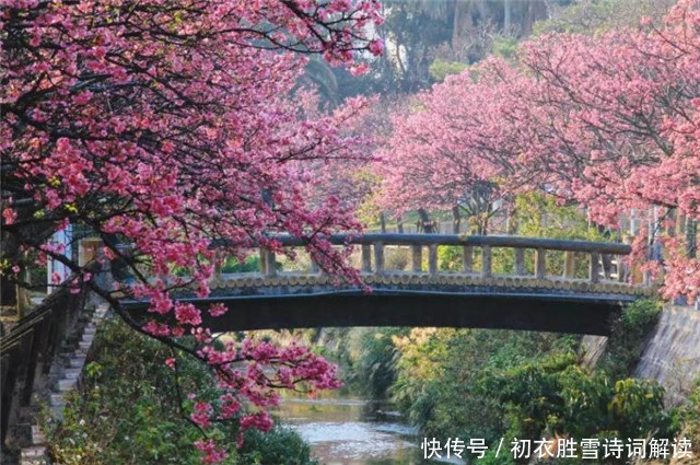 春雨楼头曼殊诗，眼前樱花雨，心里浙江潮