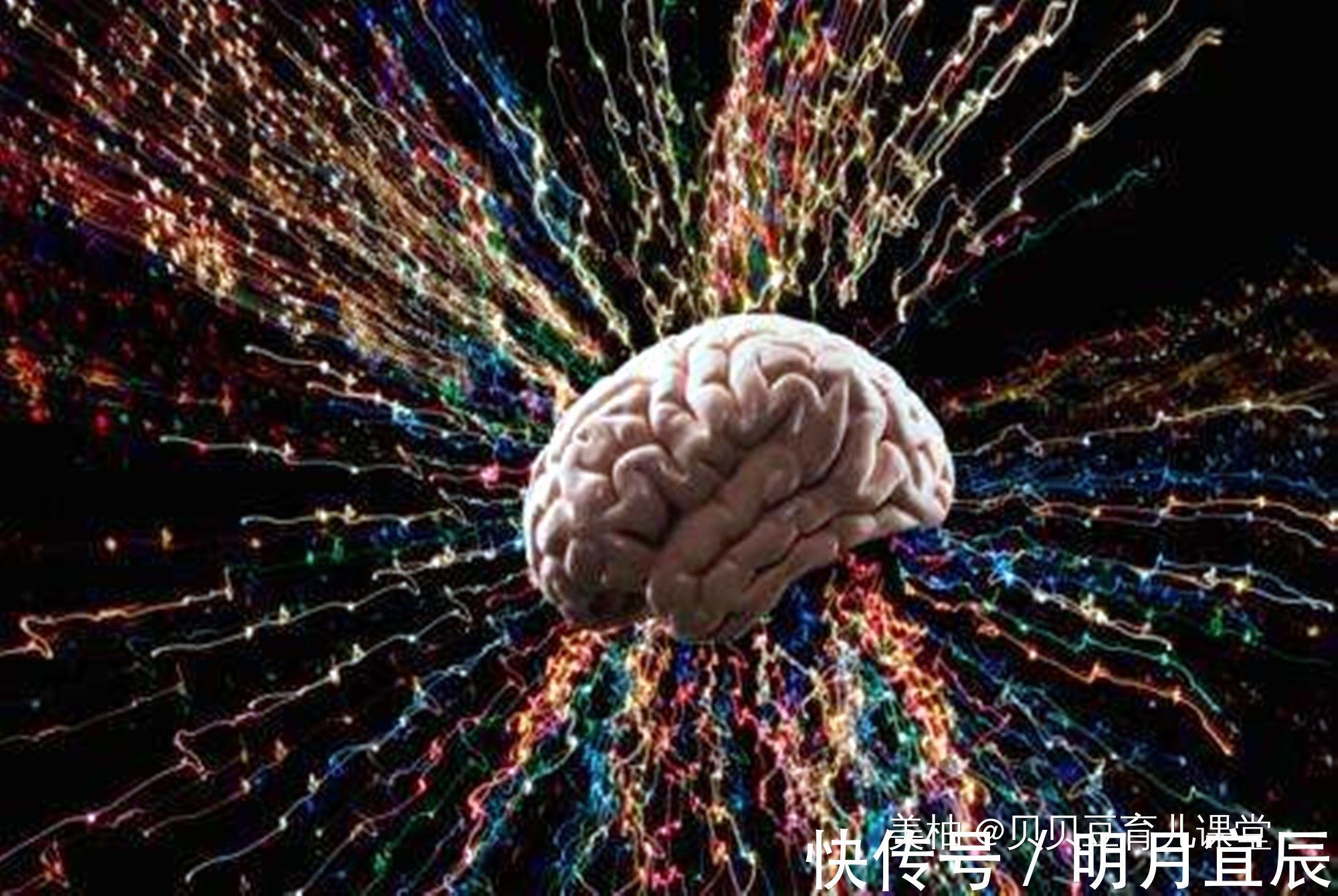 宝宝|麻省研究:锻炼孩子大脑的最好方法不是阅读,而是父母的这种行为