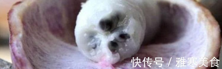 农村|农村山里一种野果批量成熟,挂在藤上密密麻麻,软糯香甜到过瘾