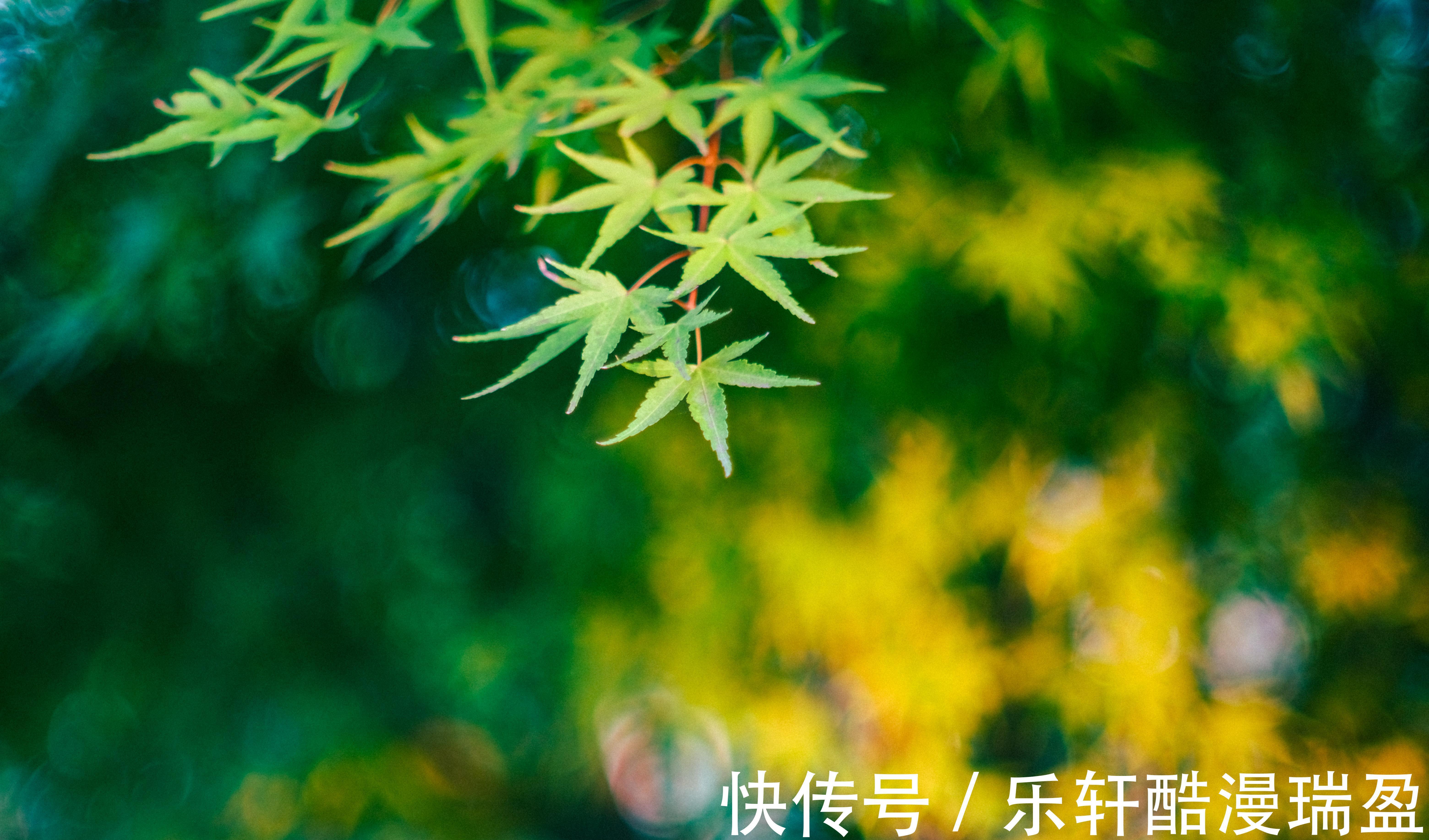 地支|玄虚子说运势中秋节开运提示!