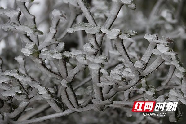 瑶乡|湖南道县：瑶乡瑞雪迎新春