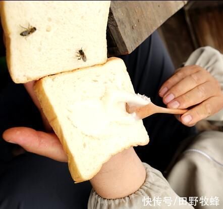 面团|蜂蜜食品做法大全?蜂蜜可以做哪些美食?