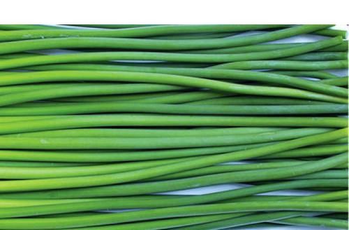 养肝就是养命！平时敞开吃6物，养肝排毒、肝脏或越来越健康