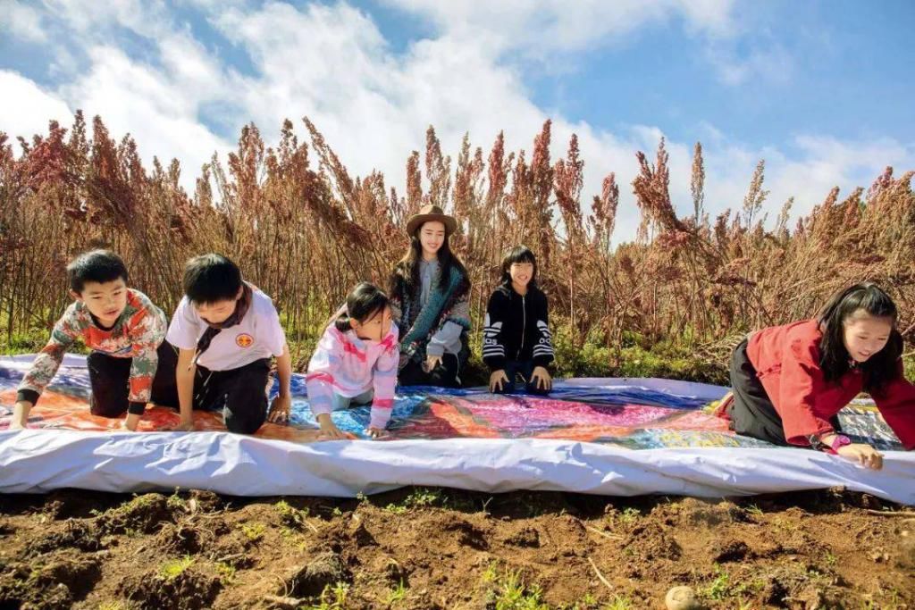  艺术|一场盛开在藜麦田里的艺术祭