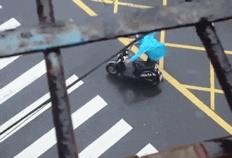 |搞笑GIF:朋友总让我来这看看,我也不知道什么意思
