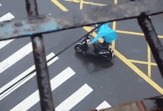 |搞笑GIF：朋友总让我来这看看，我也不知道什么意思