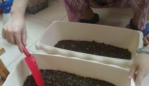 养花土，用一个塑料袋，轻松杀虫灭菌，花盆里一个虫子都没有