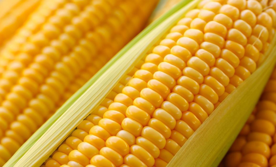 蛋白质|肝不好,常吃这4种养肝食物,你的肝脏会感激你