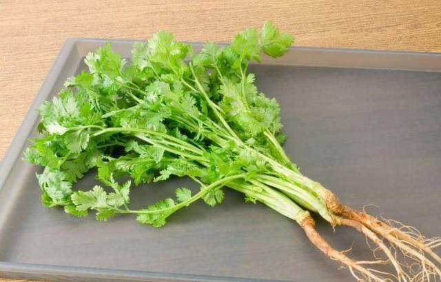 营养物质|香菜煮水太厉害了,竟有如此喜人的作用,值得分享给家人