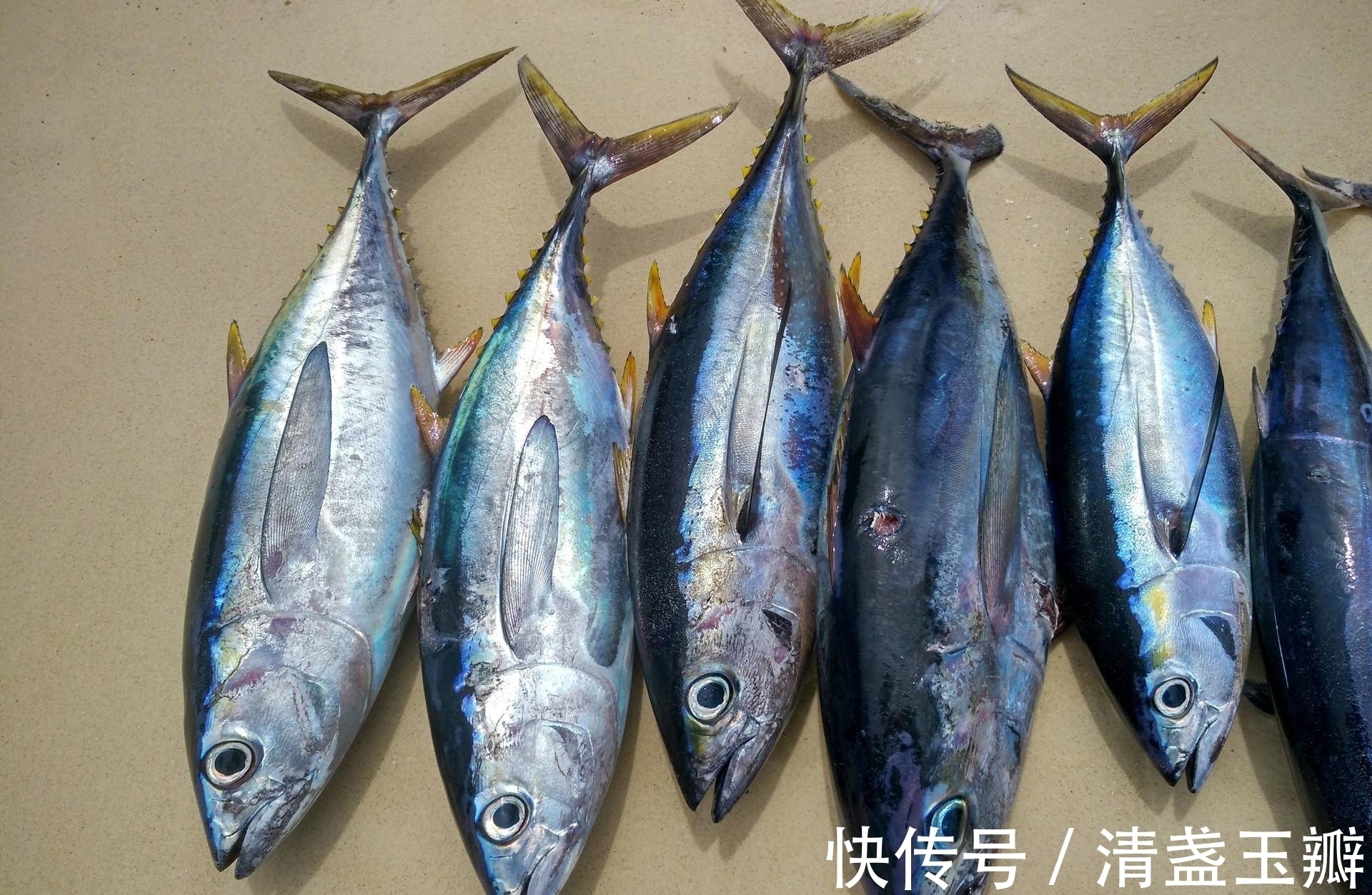 体温计|为什么要禁止水银体温计的生产,看完才知道它有多毒!