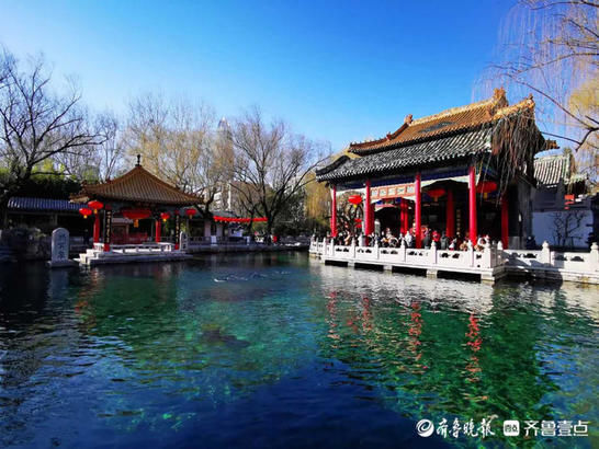 美图|情报站｜“犇”向春天！济南趵突泉的气质蓝上线，碧空如洗美翻了