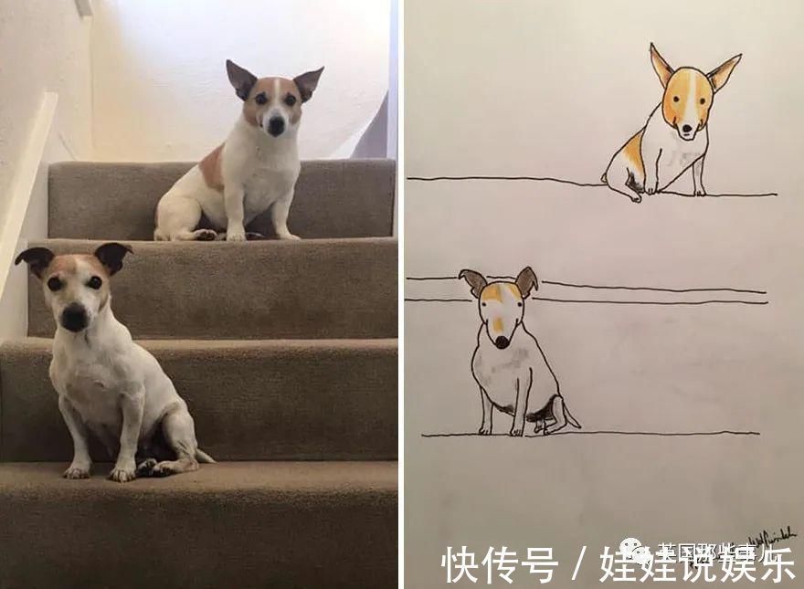 pet#随手涂鸦,自己觉得是“垃圾”的画作,没想到却在网上卖疯了