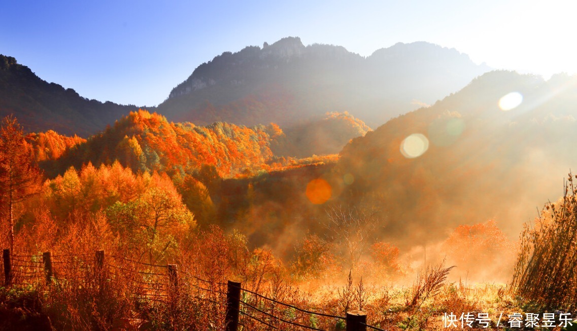 美丽|秋光乍泄 美景成诗 秋日的神农架 一定会惊艳到你