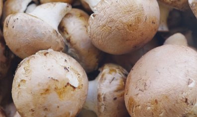 每天坚持吃这5样食物，你也可以像冻龄女星一样肤色好