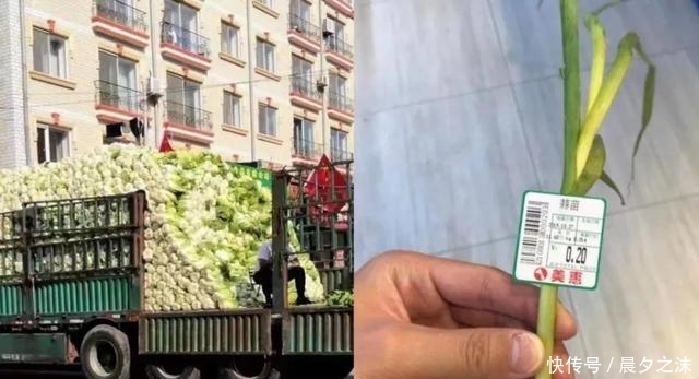 目瞪口呆|入冬了,听说东北人开始论车买菜了,南方人看得目瞪口呆