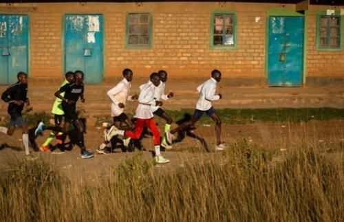 长距离跑步后容易感冒，如何应对免疫力“开窗期”