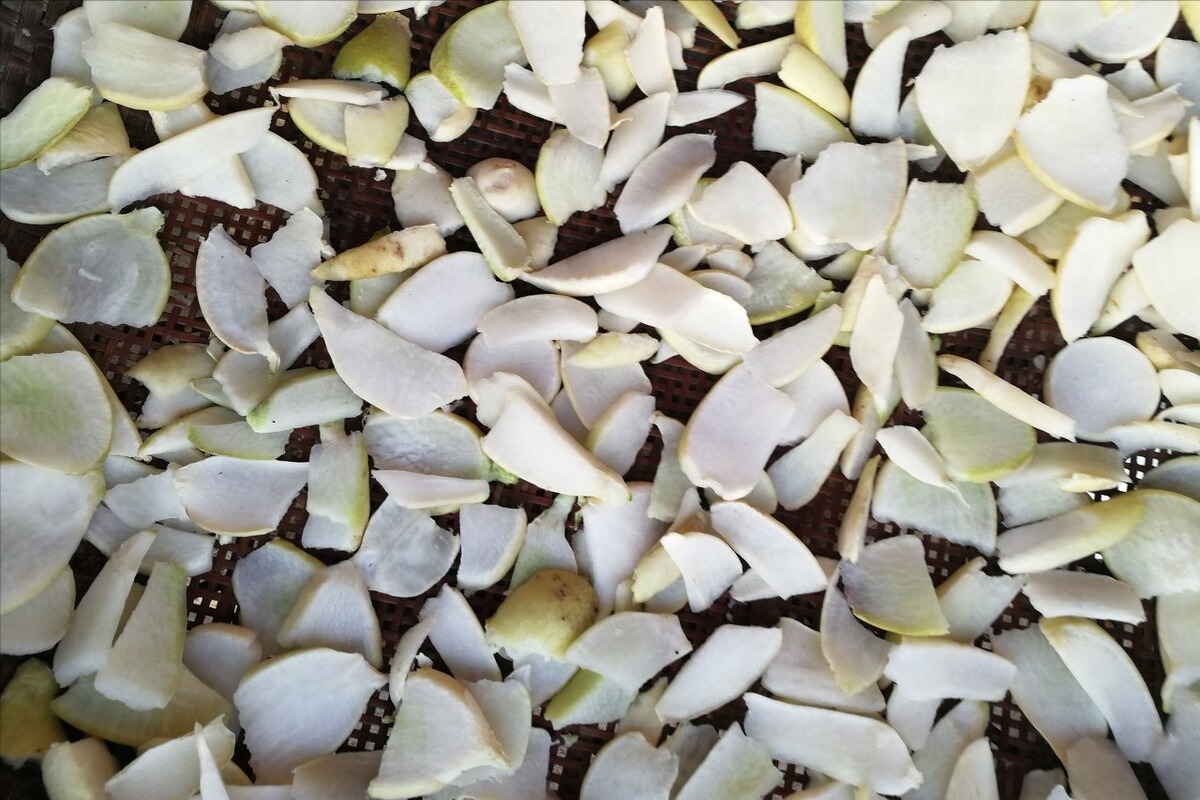 6种蔬菜好吃还不贵,秋天正当季,多买点晒干,冬天炖肉真过瘾!