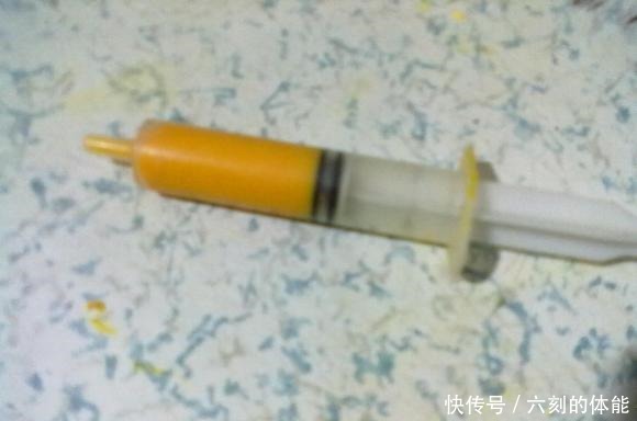 玉米粉一天100斤鱼获，使用针筒上饵方便又卫生