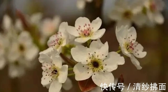 桃花|未来一周，三个星座桃花动人，爱情满溢，牵手良人，拥抱幸福