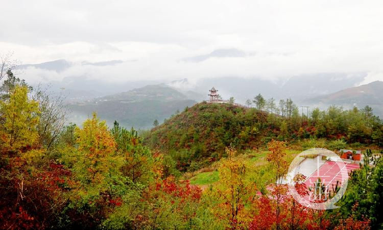 君未识|巫山官渡紫阳台 多少绝景君未识