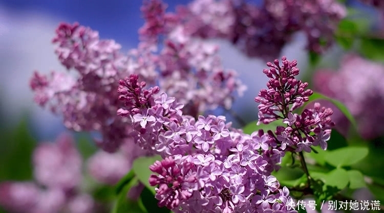 口腔异味很尴尬!常吃这几种食物,调理肠胃,口气慢慢变清新